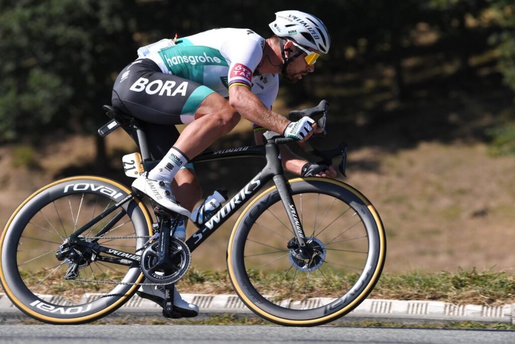 Professional road cyclist racing on Specialized S-Works road bike